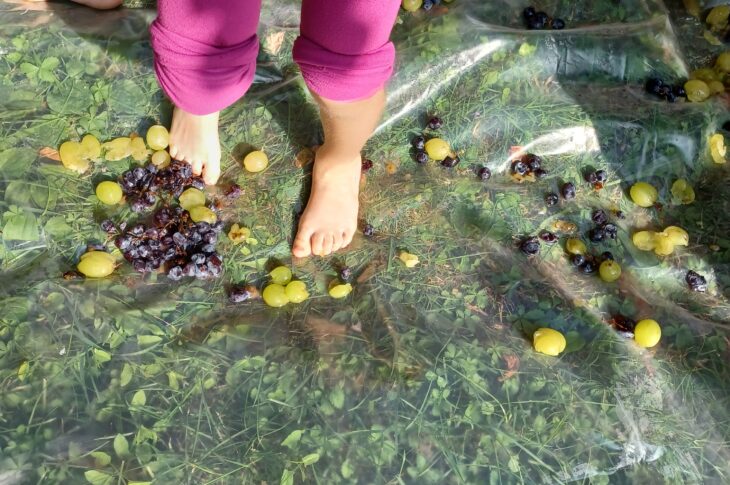 vendemmia munari 23 (2)