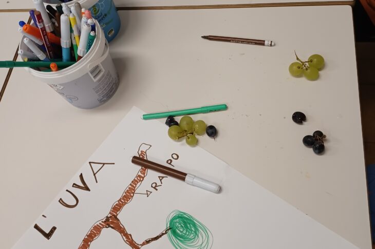 vendemmia munari 23 (7)